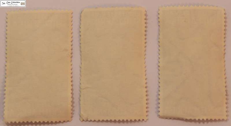 South Africa 3 x 2 1/2 Cent 1964 John Calvin Stamps (Scott 303)