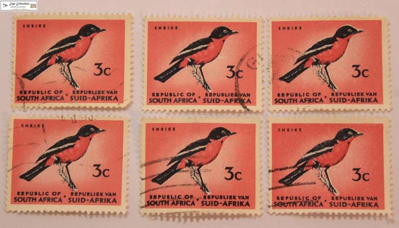 South Africa 6 x 3 Cent 1961 Crimson Breasted Shrike Stamps (Scott 331)