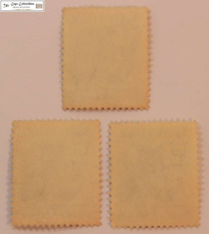 South Africa 3 x 1/2 Pence 1954 Warthog Stamps (Scott 221)