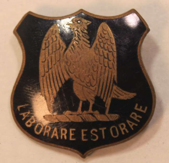 Vintage St John's Diocesan School Lapel Badge