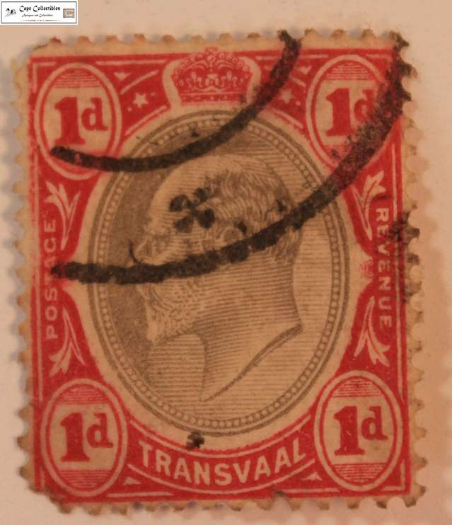 Transvaal (SAR) 1 Penny 1904 Edward VII Stamp (Scott 269)