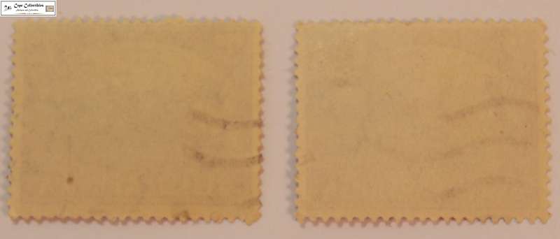South Africa 2 x  2 Pence 1945 Allied Victory Peace Stamp (Scott 101)