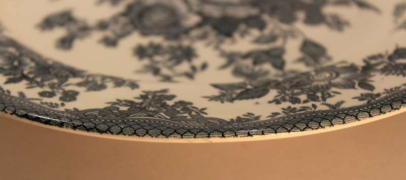 Enoch Wedgwood (Tunstall) Ltd "Asiatic Pheasants" Display Plate