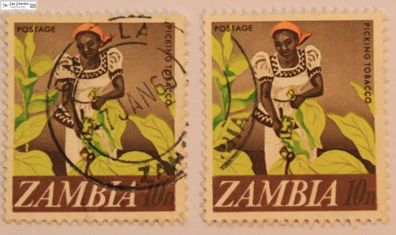 Zambia 2 x 10 Ngwee Picking Tobacco Stamps (Scott 44)