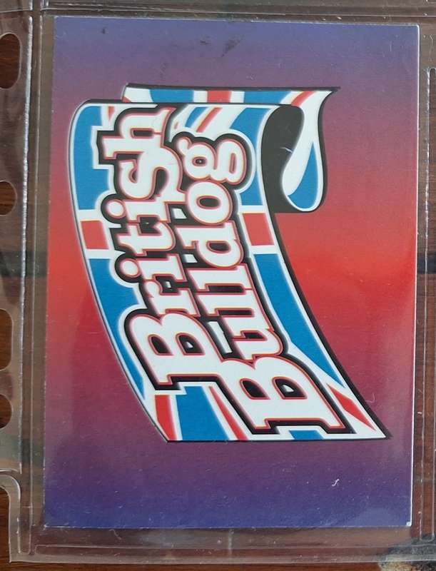 1995 WWF Wrestling Card from Panini - British Bulldog