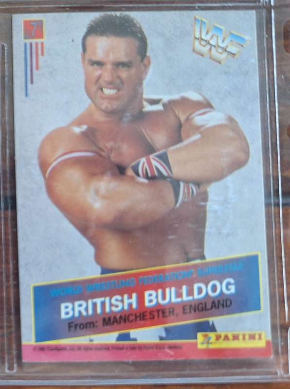 1995 WWF Wrestling Card from Panini - British Bulldog
