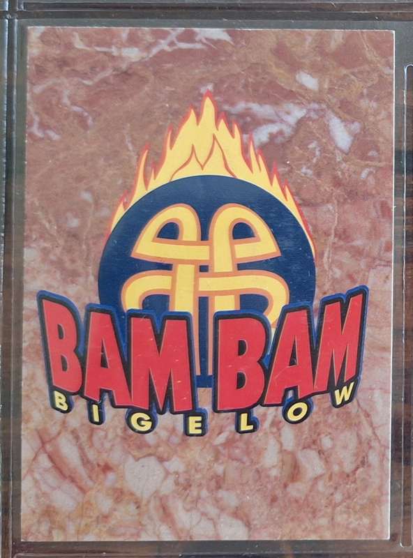 1995 WWF Wrestling Card from Panini - Bam Bam Bigelow