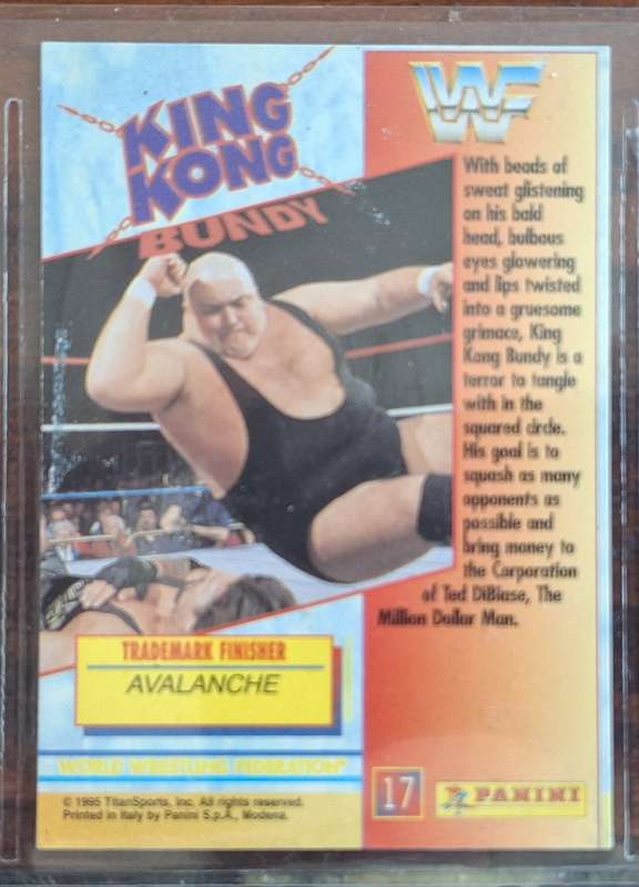 1995 WWF Wrestling Card from Panini - King Kong Bundy #2