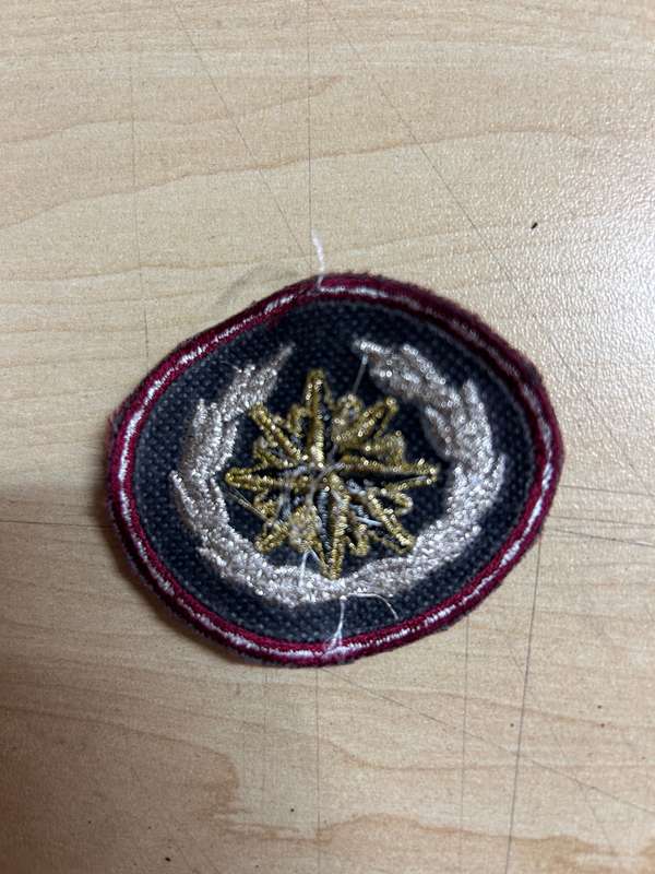 SADF special forces beret badge