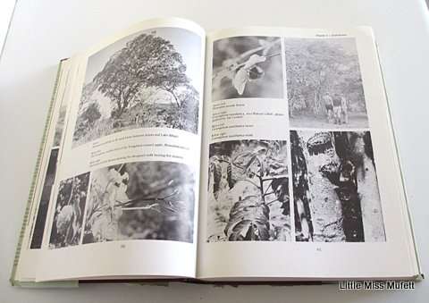 Trees of Southern Africa Eve Palmer and Noah Pitman