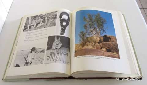 Trees of Southern Africa Eve Palmer and Noah Pitman