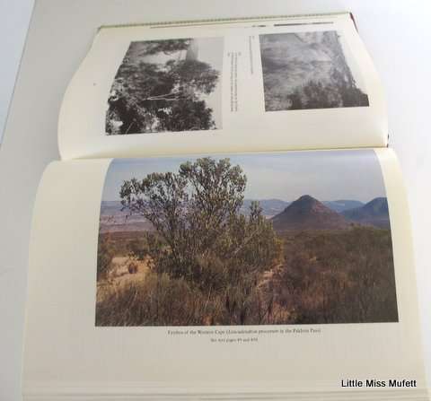 Trees of Southern Africa Eve Palmer and Noah Pitman