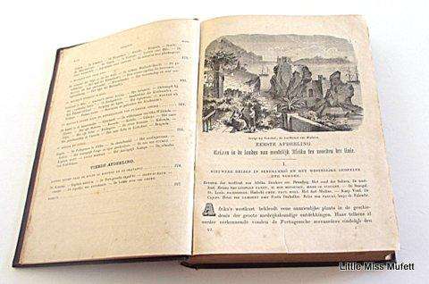 De nieuwst ontdekkingen aan die westkust van afrika book hermann wagner 1866