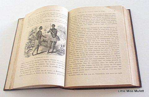 De nieuwst ontdekkingen aan die westkust van afrika book hermann wagner 1866