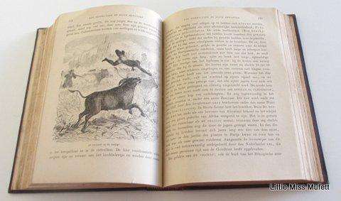 De nieuwst ontdekkingen aan die westkust van afrika book hermann wagner 1866