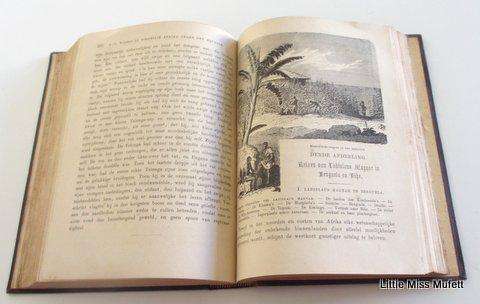 De nieuwst ontdekkingen aan die westkust van afrika book hermann wagner 1866