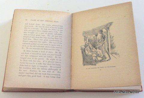 Tales of the African Wild by F.W.Dodds---1914 first edition