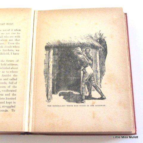Tales of the African Wild by F.W.Dodds---1914 first edition