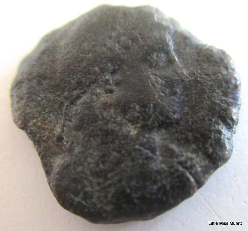 CONSTANTINE COIN