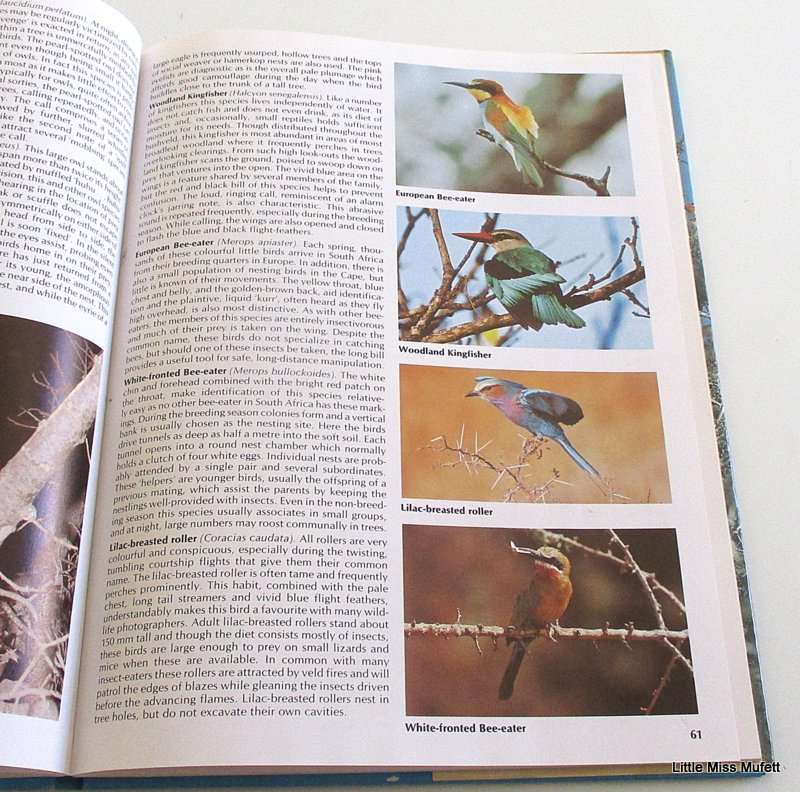 EVERONE'S GUIDE TO SOUTH AFRICAN BIRDS
