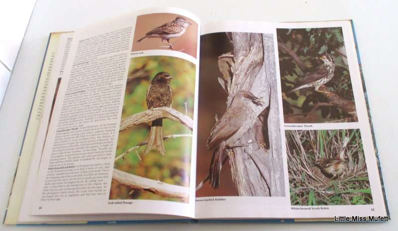 EVERONE'S GUIDE TO SOUTH AFRICAN BIRDS
