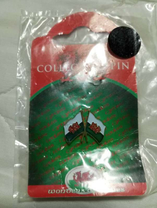 Rugby Pin