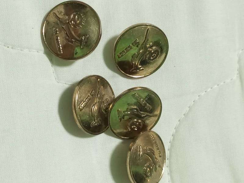 Springbok Blazer Buttons x5