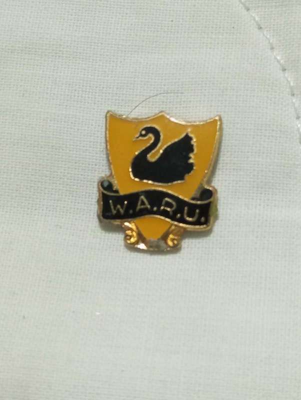 Rugby pin