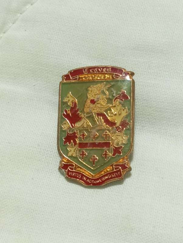 Rugby pin