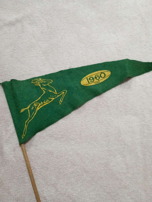 Springbok 1960 small flag
