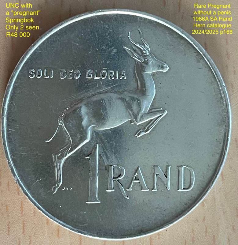 Rare 1966 AFR SA "Pregnant" Springbok silver Rand. See with Hern's catalogue 2024/2025 p168/169