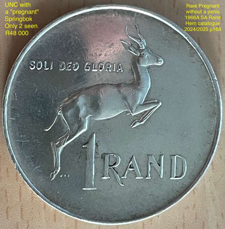 Rare 1966 AFR SA "Pregnant" Springbok silver Rand. See with Hern's catalogue 2024/2025 p168/169