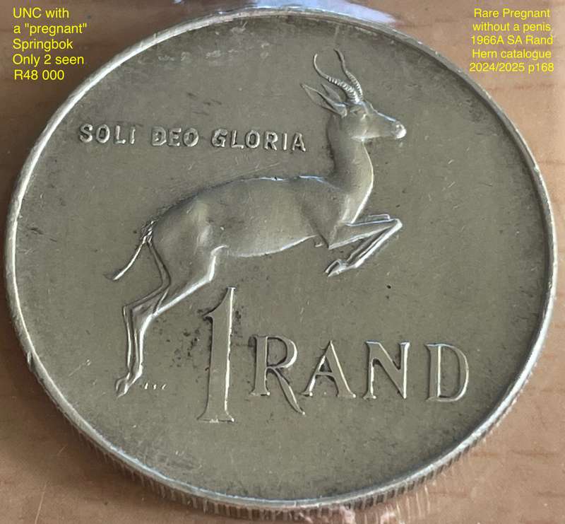 Rare 1966 AFR SA "Pregnant" Springbok silver Rand. See with Hern's catalogue 2024/2025 p168/169