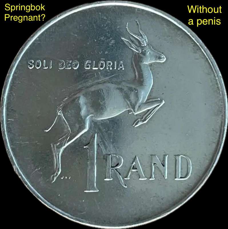 Rare 1966 AFR SA "without a penis" (pregnant?) Springbok silver Rand. Hern's book 2024/2025 p168/169