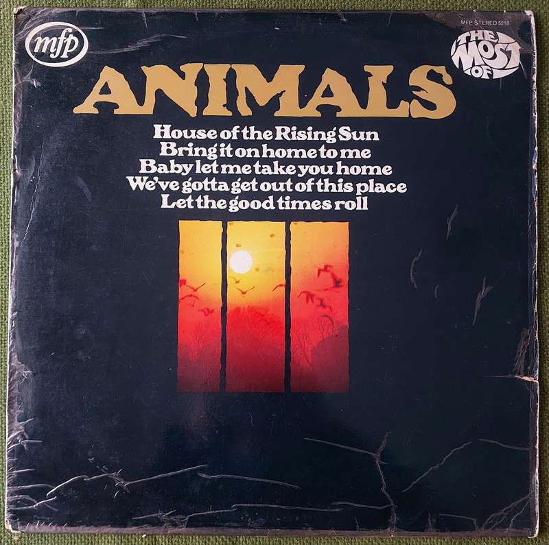 ANIMALS - THE MOST OF