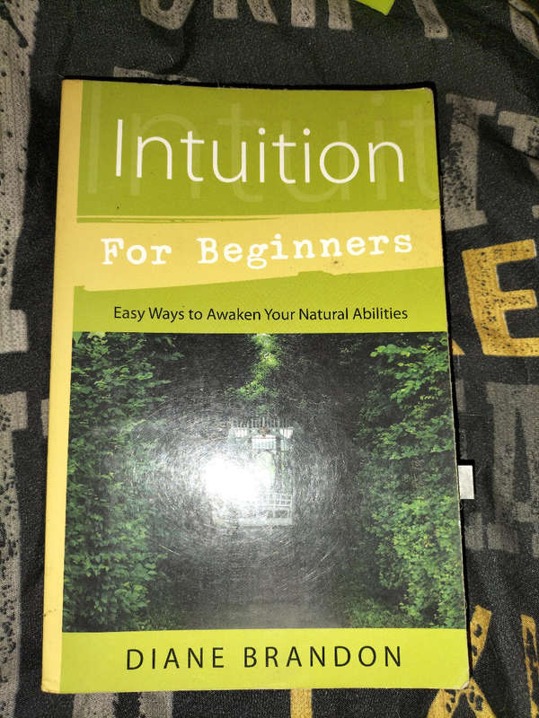Intuition for Beginners by Diane Brandon