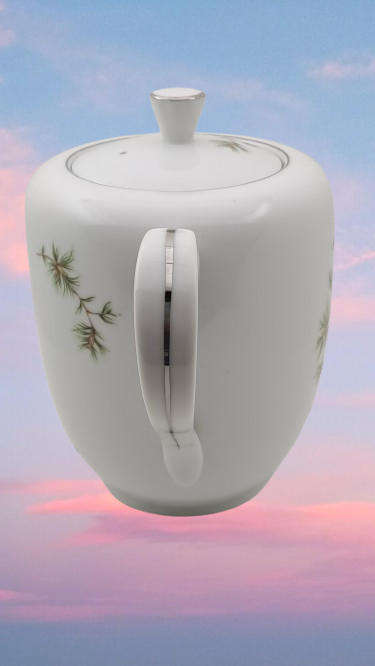 Vintage Royal Avon Tea Pot 170x250x125mm