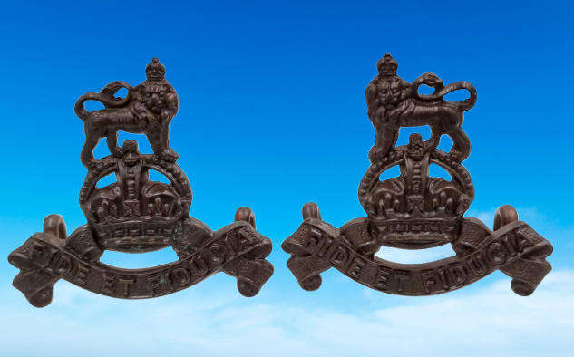 British Army: Royal Army Pay Corps Collar Badges 28mm x 30mm