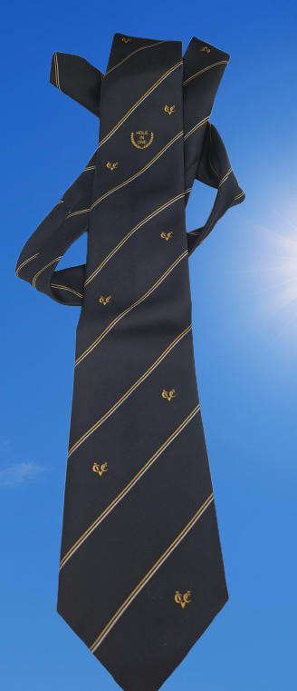 Gianotti Designer Tie by Screen ad "Hole in One"