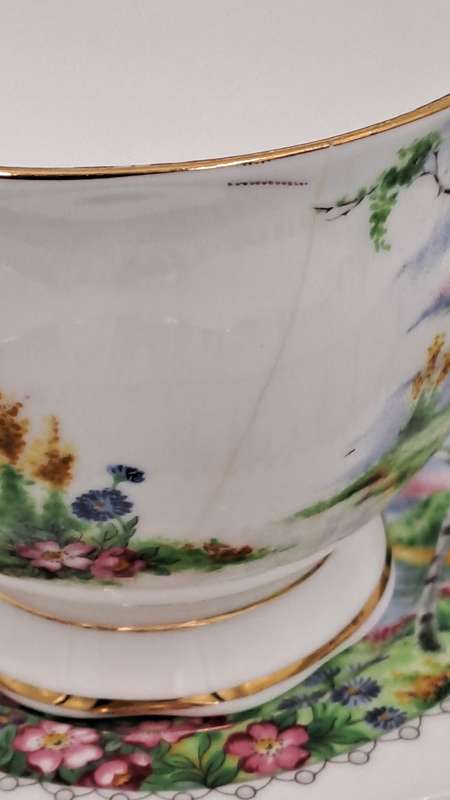 Vintage Royal Albert SILVER BIRCH Tea Trio Bone China England (Cup Has a Hairline Crack)