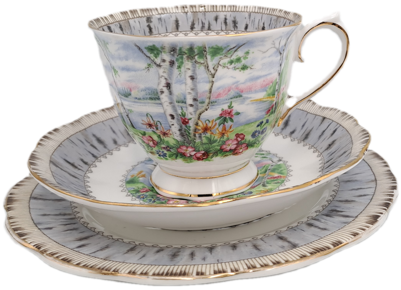 Vintage Royal Albert SILVER BIRCH Tea Trio Bone China England (Cup Has a Hairline Crack)