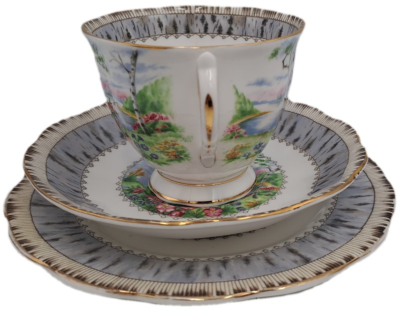 Vintage Royal Albert SILVER BIRCH Tea Trio Bone China England (Cup Has a Hairline Crack)