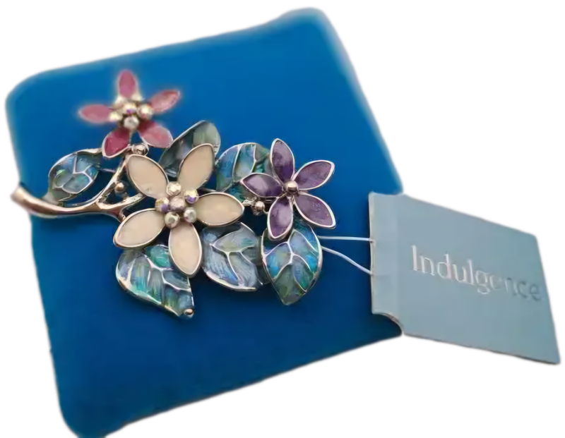 Indulgence metal Brooch still in Box  65x50mm