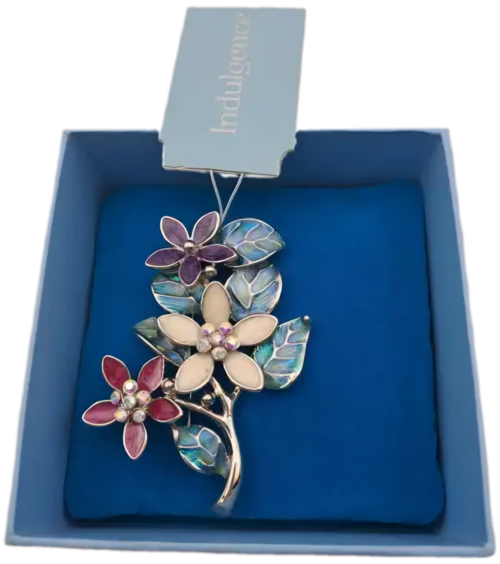 Indulgence metal Brooch still in Box  65x50mm