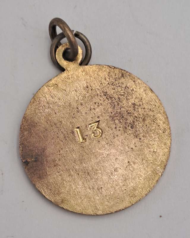 1937-1938 Witwatersrand Agricultural Society Medal -No 13 -Brass and Enamel -