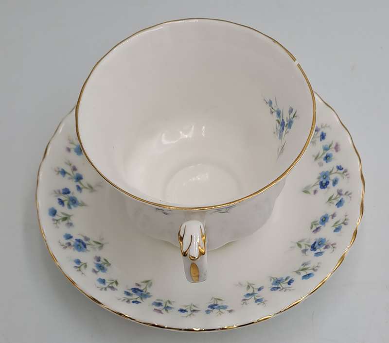Vintage Royal Albert Memory Lane Cup and Saucer -Cup has a Chip
