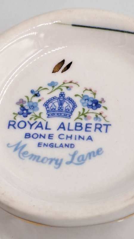 Vintage Royal Albert Memory Lane Cup and Saucer -Cup has a Chip