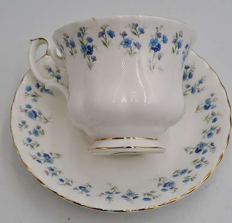 Vintage Royal Albert Memory Lane Cup and Saucer -Cup has a Chip