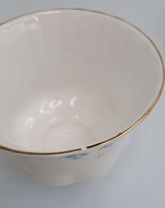Vintage Royal Albert Memory Lane Cup and Saucer -Cup has a Chip