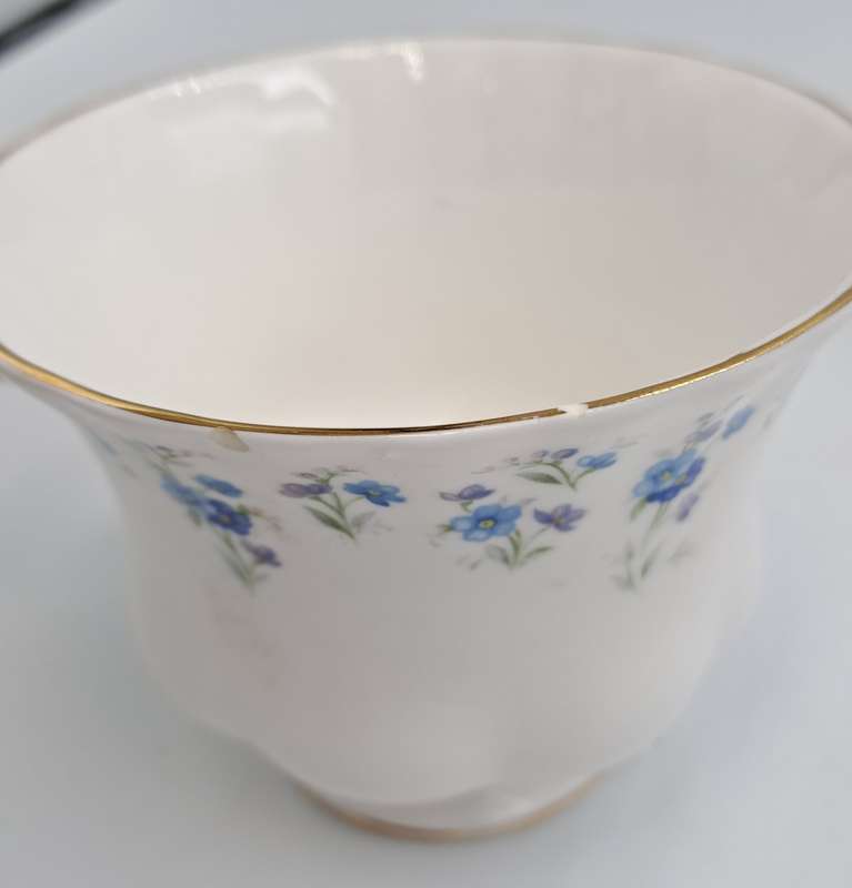 Vintage Royal Albert Memory Lane Cup and Saucer -Cup has a Chip